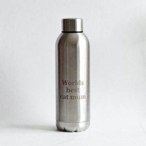 Stainless Steel Water Bottle